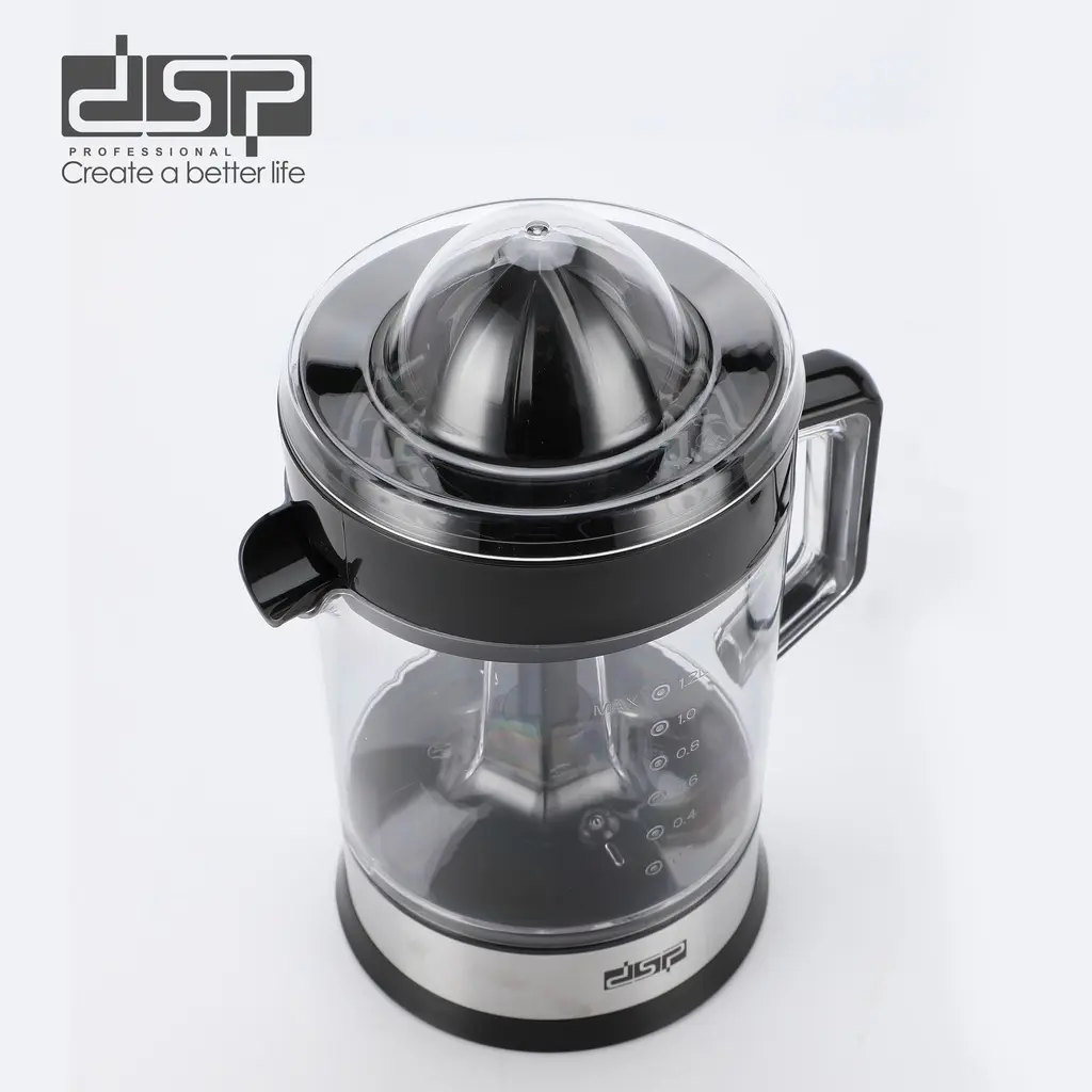 DSP image (16).webp