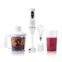 Mixeur Plongeant 4en1 Lexical 600W Blanc