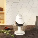 Hâchoir Techwood Blanc Bol Verre 600mL, 2 Vitesses & Lame Inox – THA-082