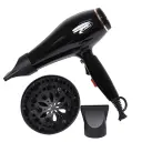 Séche Cheveux 4 en 1 Florence 15000 RPM - Silver 2200W