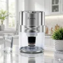 Filtre Purificateur d’Eau Lexical - 16 L- Argent